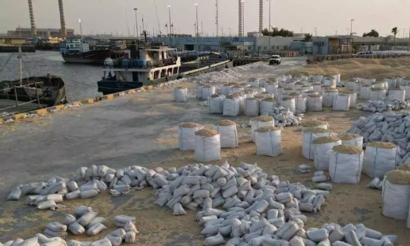 ക​പ്പ​ൽ വ​ഴി ക​ട​ത്താ​ൻ ശ്ര​മം കാ​ലി​ത്തീ​റ്റ​ക്കി​ട​യി​ൽ ല​ഹ​രി; 10 കി​ലോ പി​ടി​ച്ചെ​ടു​ത്ത് ക​സ്റ്റം​സ്