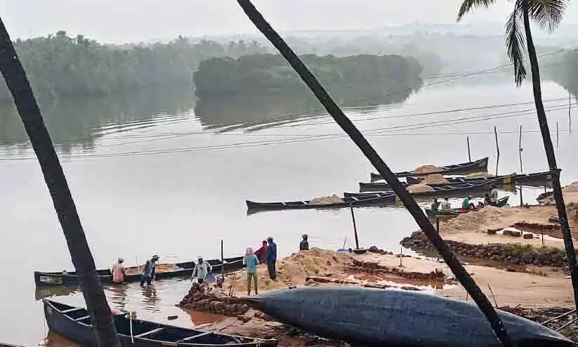 ഹ​രി​ത​കേ​ര​ള മി​ഷ​ൻ കാ​ണാ​തെ മൊ​ഗ്രാ​ൽ ക​ണ്ട​ൽ​തു​രു​ത്ത്