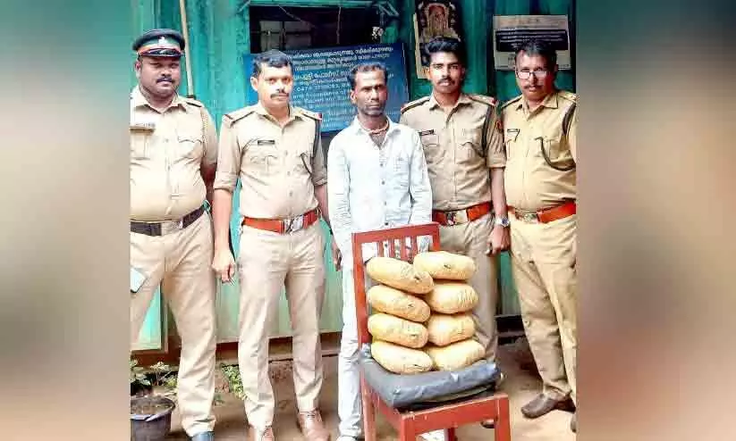 എട്ടുകിലോ കഞ്ചാവുമായി ബംഗാൾ സ്വദേശി പിടിയിൽ എട്ടുകിലോ കഞ്ചാവുമായി ബംഗാൾ സ്വദേശി പിടിയിൽ