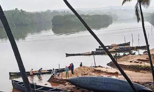 ഹ​രി​ത​കേ​ര​ള മി​ഷ​ൻ കാ​ണാ​തെ മൊ​ഗ്രാ​ൽ ക​ണ്ട​ൽ​തു​രു​ത്ത്