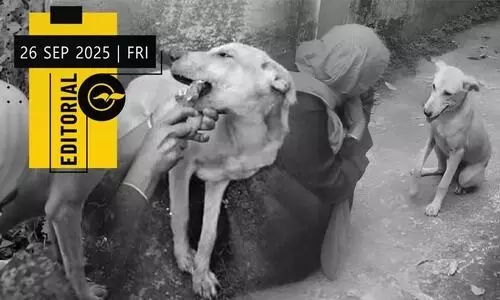 സ്നേ​ഹ​ത്തി​ന്റെ ഭൂ​പ​ട​ത്തി​ലെ മ​ല​യാ​ള സാ​മ്രാ​ജ്യം