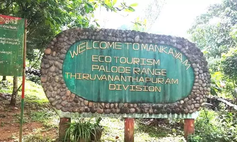 കനത്ത മഴ: ഡാം ഷട്ടറുകൾ ഉയർത്തും; മങ്കയം, പൊൻമുടി ഇക്കോ ടൂറിസം കേന്ദ്രങ്ങൾ അടച്ചിടും