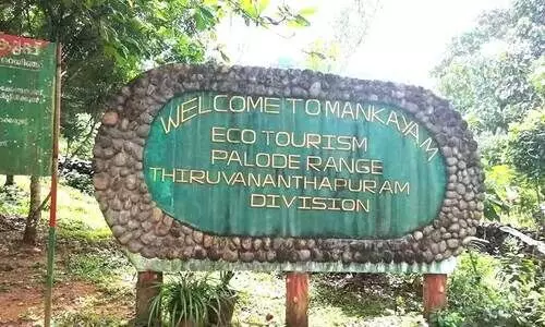 കനത്ത മഴ: ഡാം ഷട്ടറുകൾ ഉയർത്തും; മങ്കയം, പൊൻമുടി ഇക്കോ ടൂറിസം കേന്ദ്രങ്ങൾ അടച്ചിടും