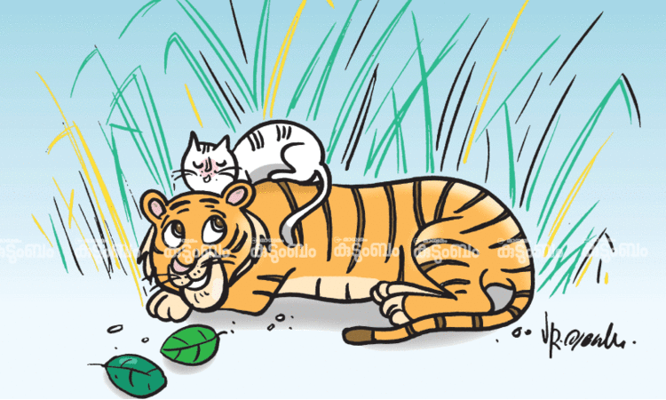 കുട്ടിക്കഥ: കടുവയും പൂച്ചക്കുഞ്ഞും