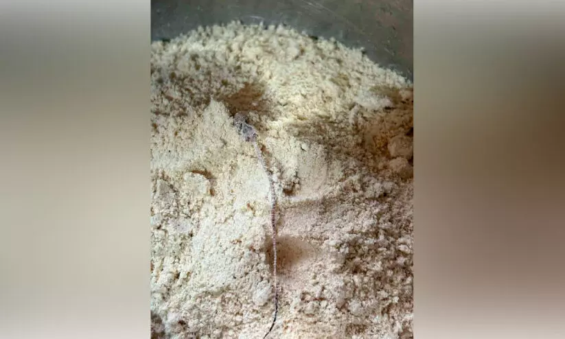 അംഗന്‍വാടിയില്‍ നിന്നും വാങ്ങിയ അമൃതം പൊടിയില്‍ ചത്ത പല്ലി