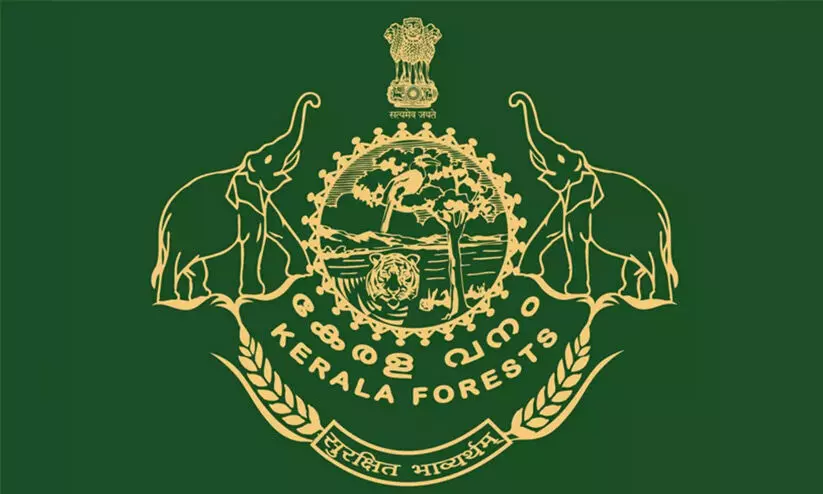 പമ്പാവാലി പരിസ്ഥിതിലോല മേഖലയാക്കാൻ ശ്രമമെന്ന്​ ആക്ഷേപം