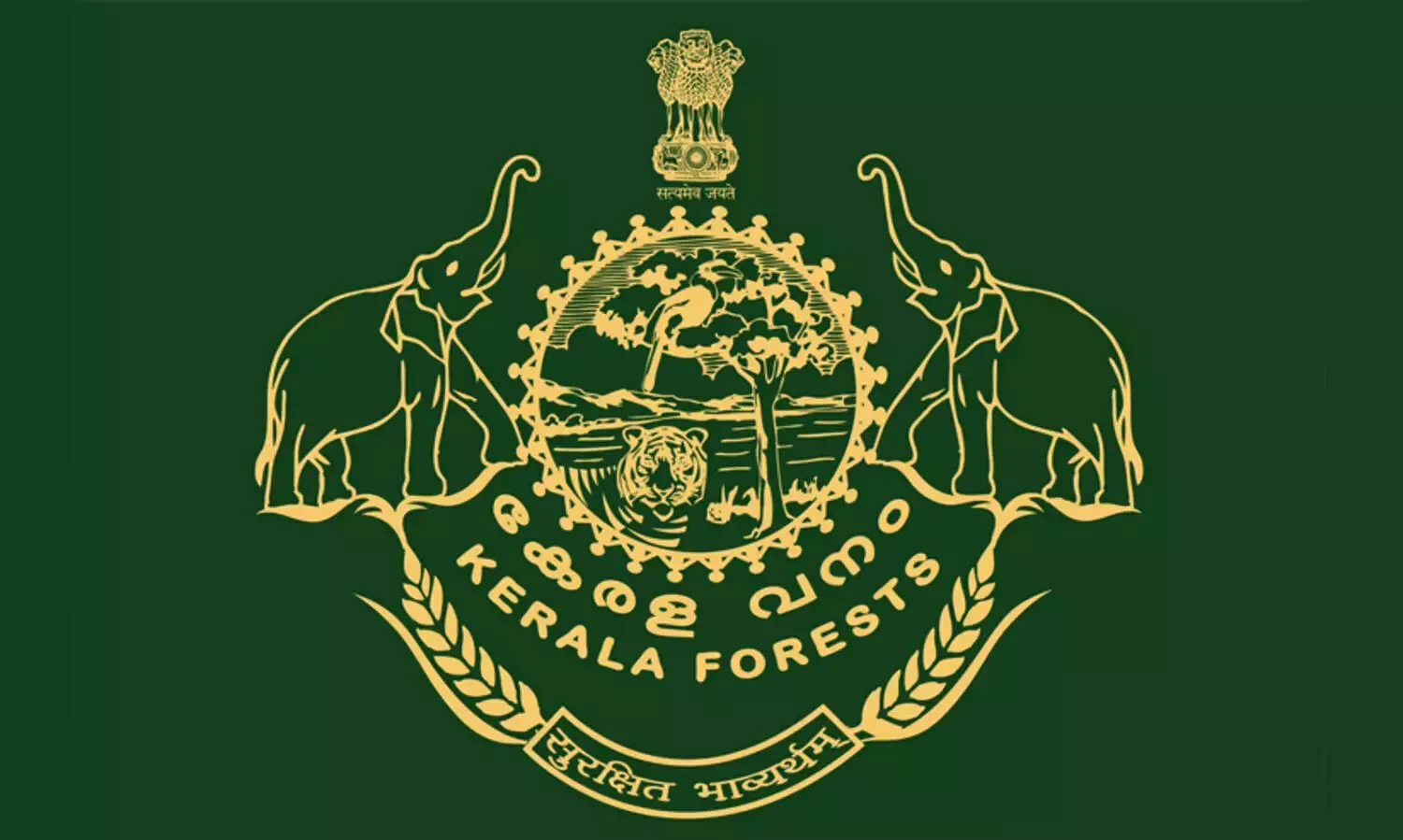 Forest Department