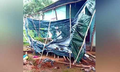 ആറളത്ത് കാട്ടാന വീടിന്റെ ഷെഡ് തകർത്തു