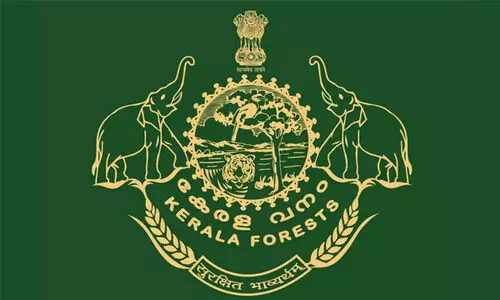 പമ്പാവാലി പരിസ്ഥിതിലോല മേഖലയാക്കാൻ ശ്രമമെന്ന്​ ആക്ഷേപം