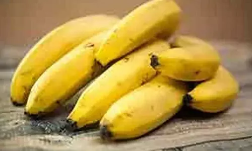 നേ​ന്ത്ര​ക്കാ​യ വി​ല​യി​ടി​വ്; ക​ർ​ഷ​ക​ർ സാ​മ്പ​ത്തി​ക പ്ര​തി​സ​ന്ധി​യി​ൽ