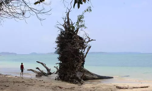 ആൻഡമാൻ തീരത്ത് പ്രകൃതിവാതക ശേഖരം കണ്ടെത്തി; കൂടുതൽ പഠനങ്ങൾ പുരോഗമിക്കുന്നു