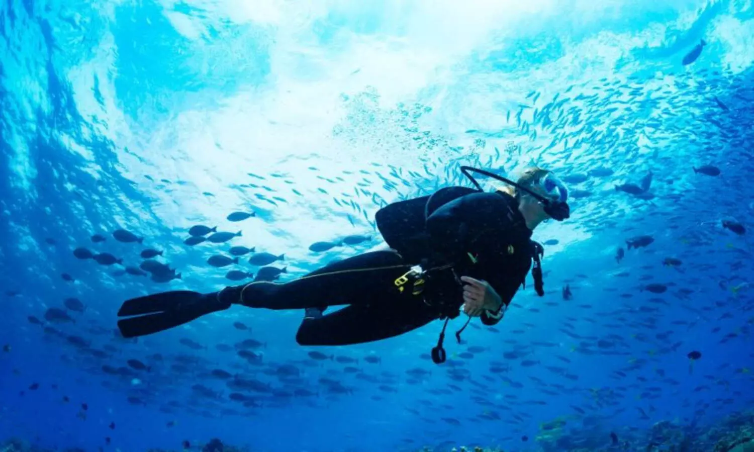 ചൈനീസ് ഡൈവർ കടലിനടിയിൽ കുടുങ്ങി കിടന്നത് 40 മിനിട്ട്; മാപ്പ് പറയാതെ ഹോട്ടൽ അധികൃതർ