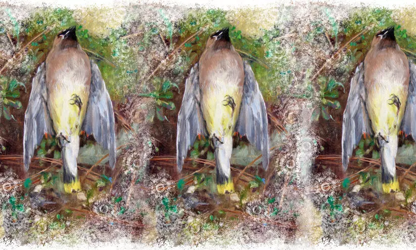 മൃ​ത​പ​ക്ഷി​ക​ൾ​ക്ക് ഒ​രു മൗ​ന​സാ​ക്ഷി