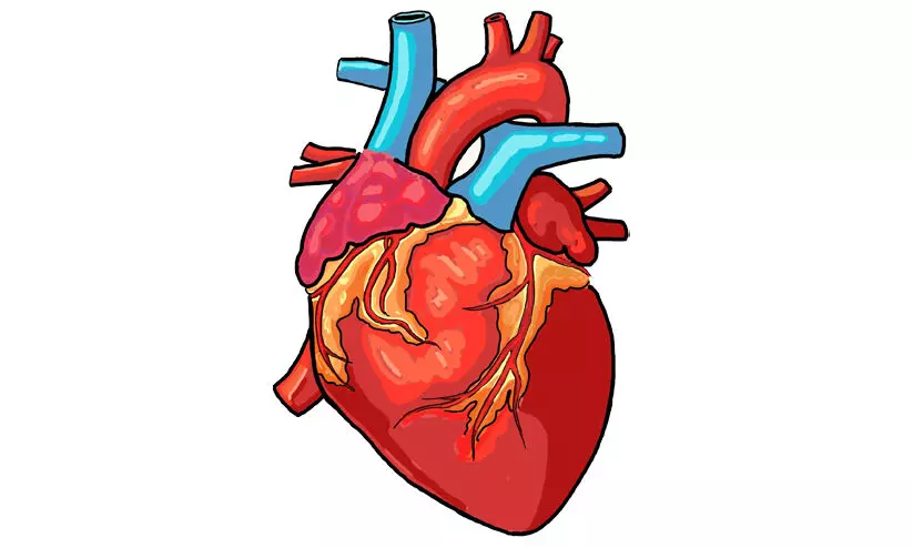 World Heart Day World Heart Day