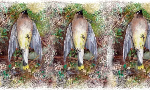 മൃ​ത​പ​ക്ഷി​ക​ൾ​ക്ക് ഒ​രു മൗ​ന​സാ​ക്ഷി