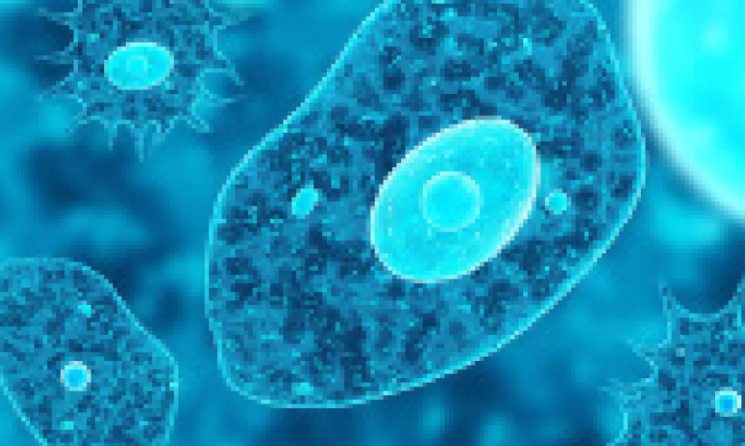 Representation Image