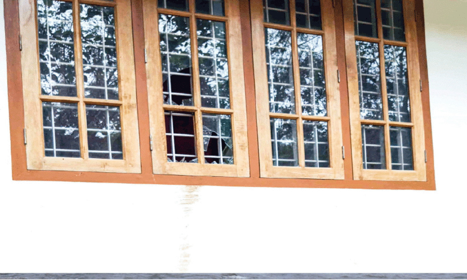 Hornet,Attack,Kottapadi,Window panel,crops destroyed,wild elephant, കാട്ടു​കൊമ്പൻ, കോതമംഗലം,മുറിവാലൻ