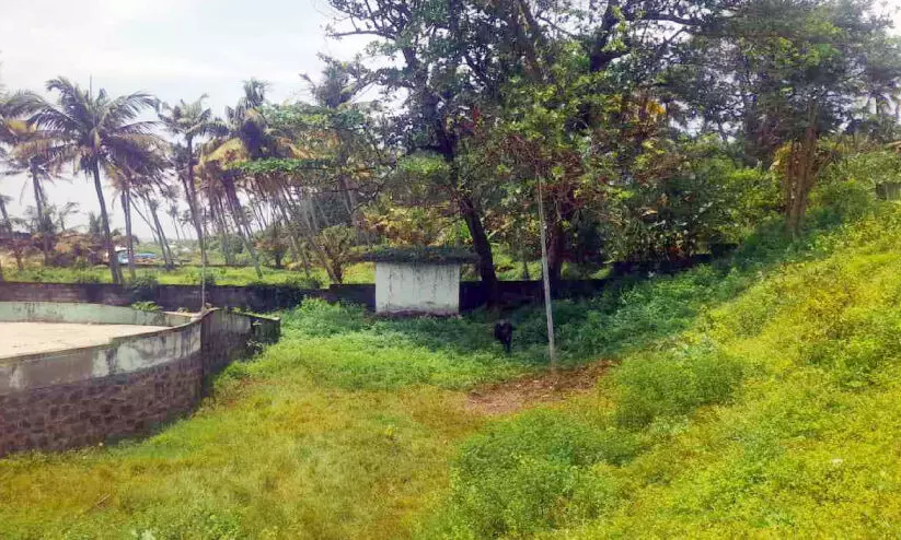 ടൂറിസം കേന്ദ്രമായി വളർന്നിട്ടും വെറ്റക്കട പാർക്കിന് അവഗണന ടൂറിസം കേന്ദ്രമായി വളർന്നിട്ടും വെറ്റക്കട പാർക്കിന് അവഗണന