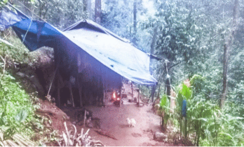 Electricity,Road,Tribals,Kallemadam Colony,Distress, കല്ലേമാടം, ആദിവാസി കോളനി, വൈദ്യുതി