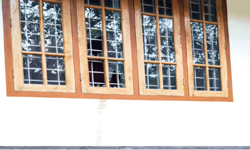 Hornet,Attack,Kottapadi,Window panel,crops destroyed,wild elephant, കാട്ടു​കൊമ്പൻ, കോതമംഗലം,മുറിവാലൻ