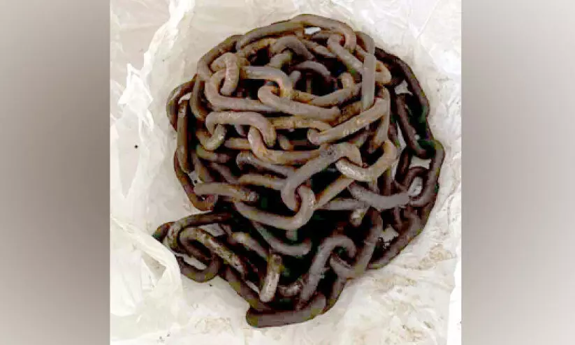 മുക്കടവിലെ കൊലപാതകം: ഒരാഴ്ചയായിട്ടും തുമ്പായില്ല; ഡ്രോൺ പറപ്പിച്ചും അന്വേഷണം മുക്കടവിലെ കൊലപാതകം: ഒരാഴ്ചയായിട്ടും തുമ്പായില്ല; ഡ്രോൺ പറപ്പിച്ചും അന്വേഷണം