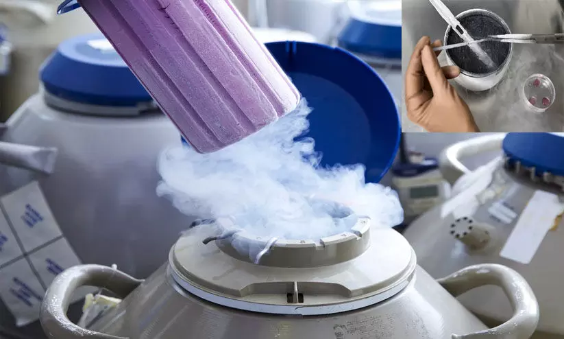 അണ്ഡം ശീതീകരിച്ച് സൂക്ഷിക്കുന്ന സ്ത്രീകളുടെ എണ്ണം കൂടി; പക്ഷെ, പലരും അവ ഉപയോഗിക്കുന്നില്ലെന്ന് പഠനം അണ്ഡം ശീതീകരിച്ച് സൂക്ഷിക്കുന്ന സ്ത്രീകളുടെ എണ്ണം കൂടി; പക്ഷെ, പലരും അവ ഉപയോഗിക്കുന്നില്ലെന്ന് പഠനം