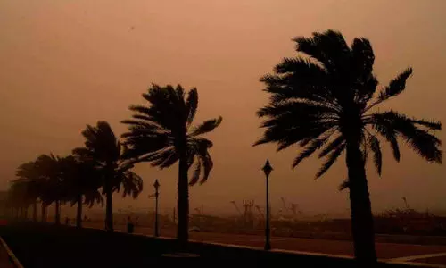 കാ​ലാ​വ​സ്ഥ​മാ​റ്റ ല​ക്ഷ​ണം; ര​ണ്ടു ദി​വ​സം കാ​റ്റും പൊ​ടി​യും