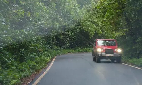 എ​ൻ.​എ​ച്ച് 169 വീ​തി കൂ​ട്ട​ൽ: അ​ന്വേ​ഷി​ക്കാ​ൻ സ​ർ​ക്കാ​റി​ന് നി​ർ​ദേ​ശം