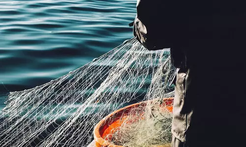 അനധികൃത മീൻപിടിത്തം; പരിശോധന കർശനമാക്കി ഫിഷറീസ് വകുപ്പ്