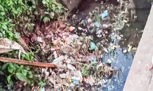 രോഗം വിളിച്ചുവരുത്തി തിരുനാവായയിലെ ലിഫ്റ്റ് ഇറിഗേഷൻ കനാലുകൾ