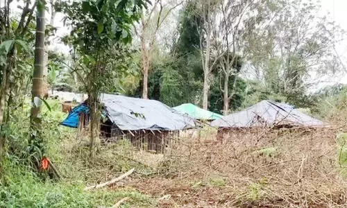 കോ​ട​തി വി​ധി പ്ര​തി​കൂ​ലം; നി​ക്ഷി​പ്ത വ​ന​ഭൂ​മി​യി​ലെ അ​വ​കാ​ശം കൈ​യൊ​ഴി​ഞ്ഞ് വ​നം​വ​കു​പ്പ്