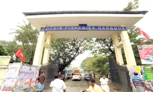 കൂലിത്തർക്കം; കൊച്ചി ഹാർബറിൽ മീൻ ഇറക്കുന്നത് നിലച്ചു