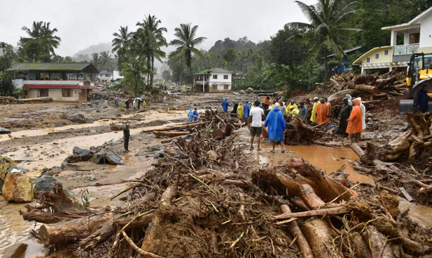 central aid for Wayanad rebuilding