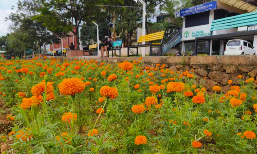 നിറക്കാഴ്ച പകർന്ന് കുടുംബശ്രീയുടെ പൂന്തോട്ടവും യുവജന കൂട്ടായ്മയുടെ വിശ്രമ കേന്ദ്രവും നിറക്കാഴ്ച പകർന്ന് കുടുംബശ്രീയുടെ പൂന്തോട്ടവും യുവജന കൂട്ടായ്മയുടെ വിശ്രമ കേന്ദ്രവും
