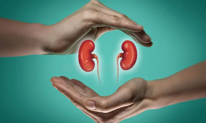 വൃക്ക രോഗം ആരംഭത്തിൽ തന്നെ തിരിച്ചറിയാം, ഈ 7 ലക്ഷണങ്ങളിലൂടെ വൃക്ക രോഗം ആരംഭത്തിൽ തന്നെ തിരിച്ചറിയാം, ഈ 7 ലക്ഷണങ്ങളിലൂടെ