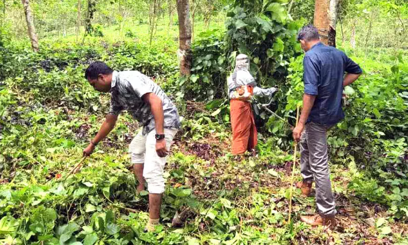 മുക്കടവിലെ കൊലപാതകം; കൂടുതൽ തെളിവുകൾ ലഭിച്ചു മുക്കടവിലെ കൊലപാതകം; കൂടുതൽ തെളിവുകൾ ലഭിച്ചു