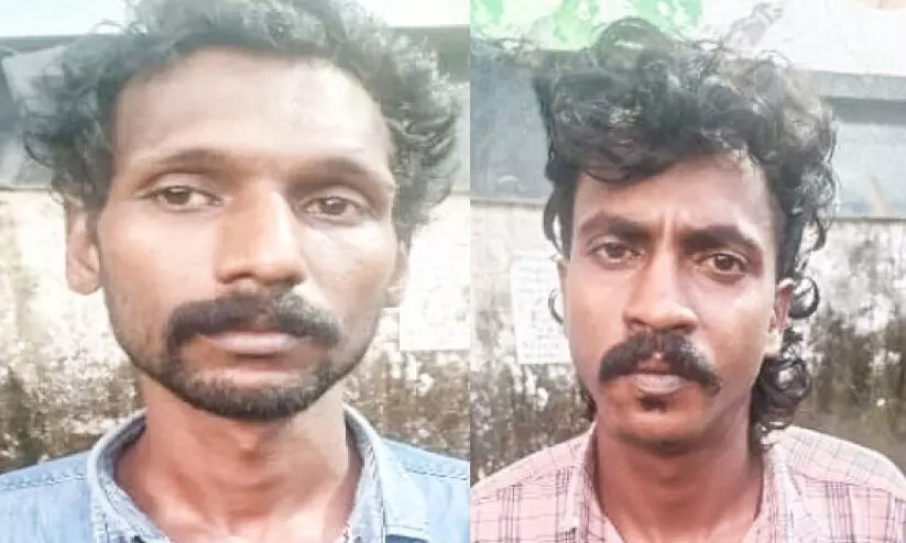 നാലുകിലോ കഞ്ചാവുമായി രണ്ടുപേർ പിടിയിൽ നാലുകിലോ കഞ്ചാവുമായി രണ്ടുപേർ പിടിയിൽ