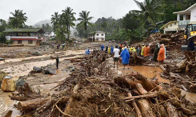 central aid for Wayanad rebuilding central aid for Wayanad rebuilding