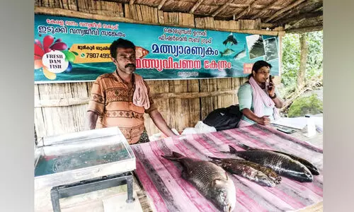 മത്സ്യാരണ്യകത്തിലുണ്ട്,​ പിടക്കണ മീൻ