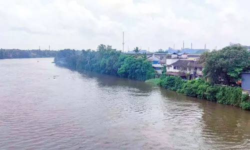 പുകയും ദുർഗന്ധവും; പൊറുതിമുട്ടി ഏലൂർ ജനത