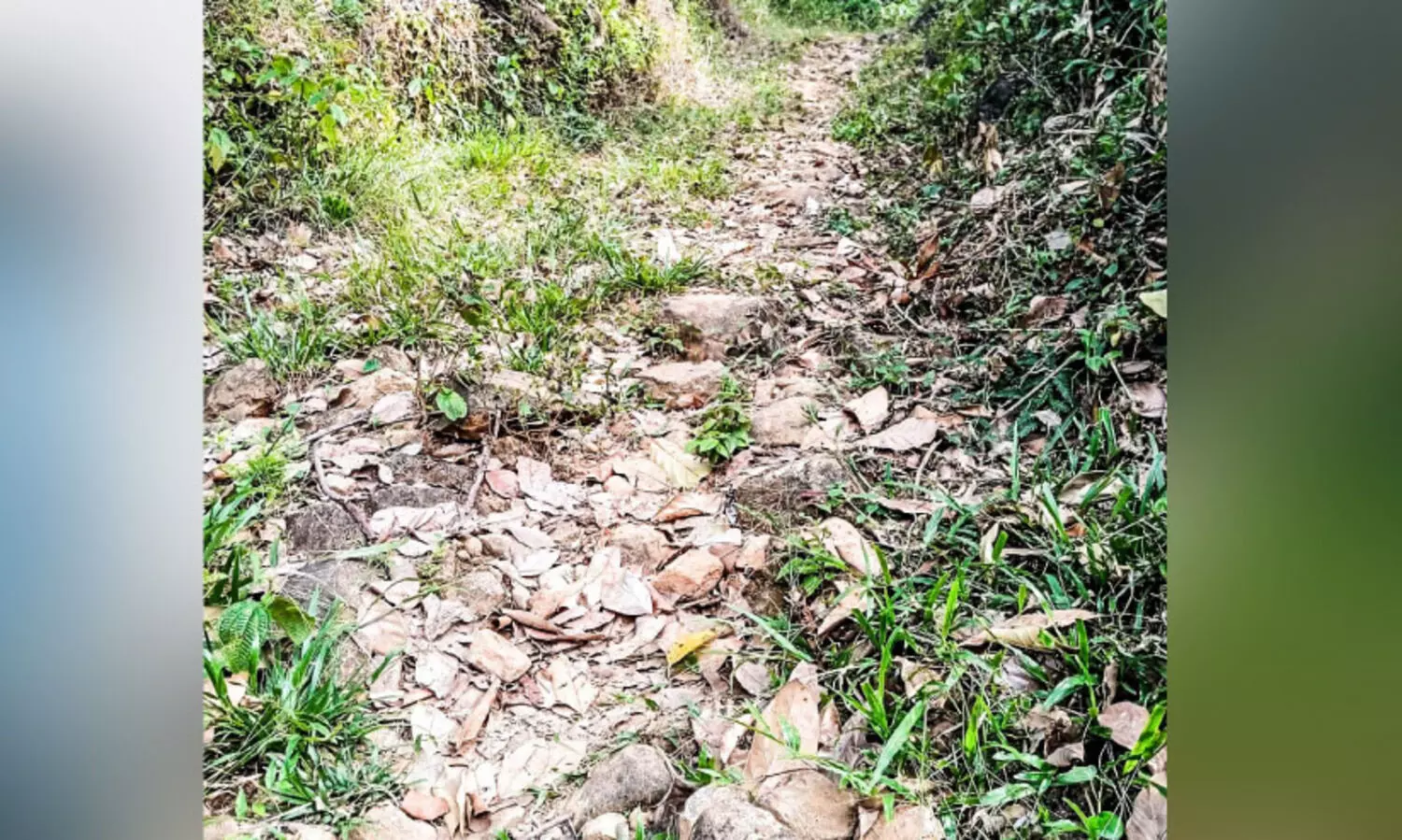 നാക്കയംകാർക്ക്​ എന്നും ദുരിതയാത്ര; ഏകവഴി തകർന്നിട്ട്​ വർഷങ്ങൾ