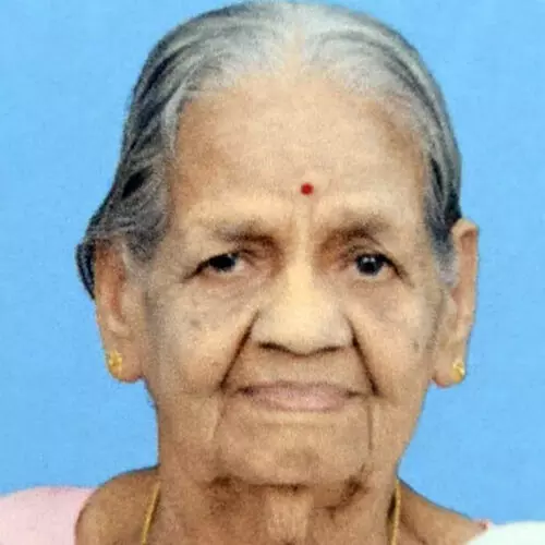 നാരായണി