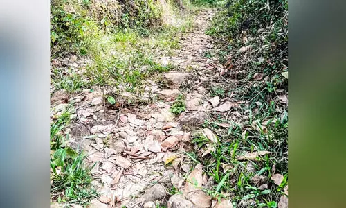 നാക്കയംകാർക്ക്​ എന്നും ദുരിതയാത്ര; ഏകവഴി തകർന്നിട്ട്​ വർഷങ്ങൾ