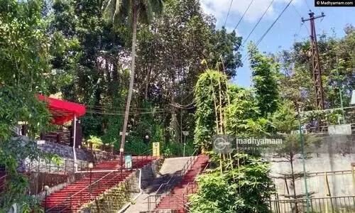 പെരുന്തേനരുവി ടൂറിസം കേന്ദ്രത്തിലെ മുളകള്‍ വൈദ്യുതി ലൈനില്‍ മുട്ടിയ നിലയിൽ; വെട്ടിനീക്കണമെന്ന് ആവശ്യം