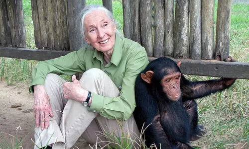 Jane Goodall