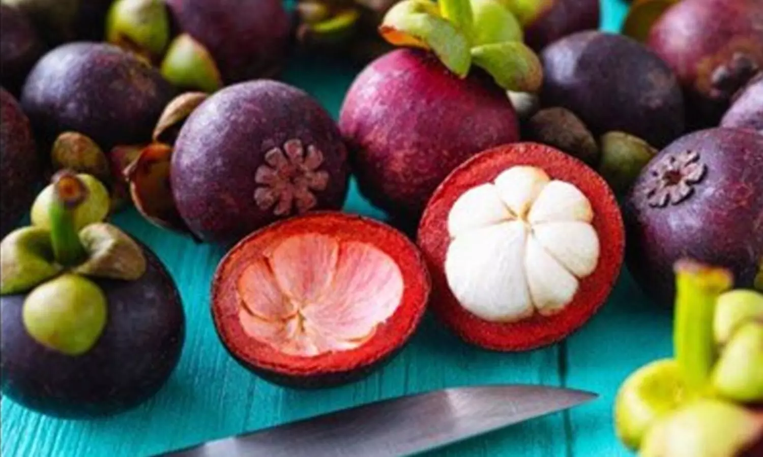 പത്ത് വർഷമൊന്നും വേണ്ട കായ്ക്കാൻ; മാങ്കോസ്റ്റീൻ നാലുവർഷം കൊണ്ട് പൂവിടും, ഇങ്ങനെ ചെയ്താൽ....