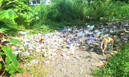 ‘മാലിന്യ പാഠം’ പഠിച്ചില്ല; സർവകലാശാലക്ക് പിഴ