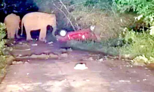 കേ​ടാ​യ​തി​നെ തു​ട​ർ​ന്ന് അ​തി​ര​പ്പി​ള്ളി​യി​ൽ നി​ർ​ത്തി​യി​ട്ട കാ​ർ കാ​ട്ടാ​ന​ക്കൂ​ട്ടം ത​ക​ർ​ത്തു