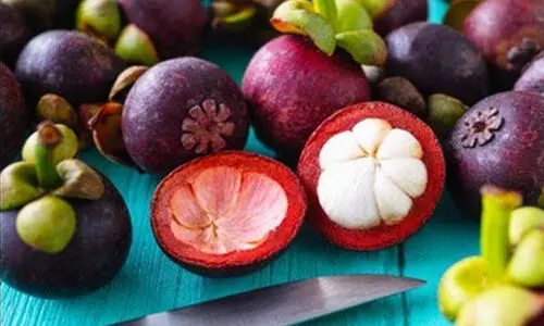 പത്ത് വർഷമൊന്നും വേണ്ട കായ്ക്കാൻ; മാങ്കോസ്റ്റീൻ നാലുവർഷം കൊണ്ട് പൂവിടും, ഇങ്ങനെ ചെയ്താൽ....