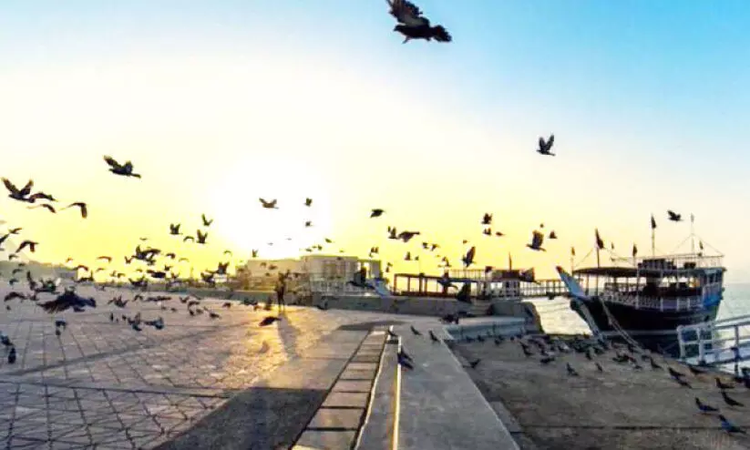 അൽ സർഫ നക്ഷത്രമുദിച്ചു; പകൽ സമയത്തെ ചൂട് കുറയും അൽ സർഫ നക്ഷത്രമുദിച്ചു; പകൽ സമയത്തെ ചൂട് കുറയും